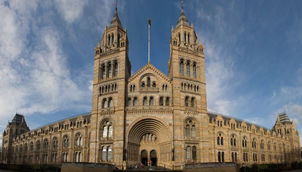 Natural History Museum to implement Elements